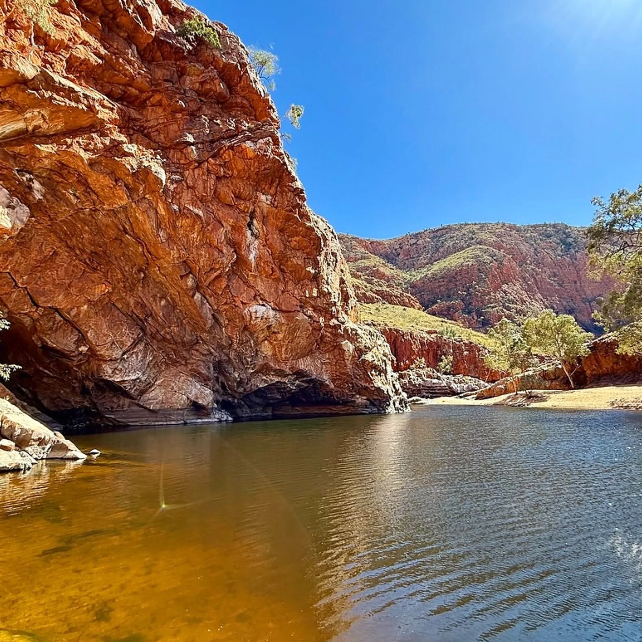 australian national park summer scene