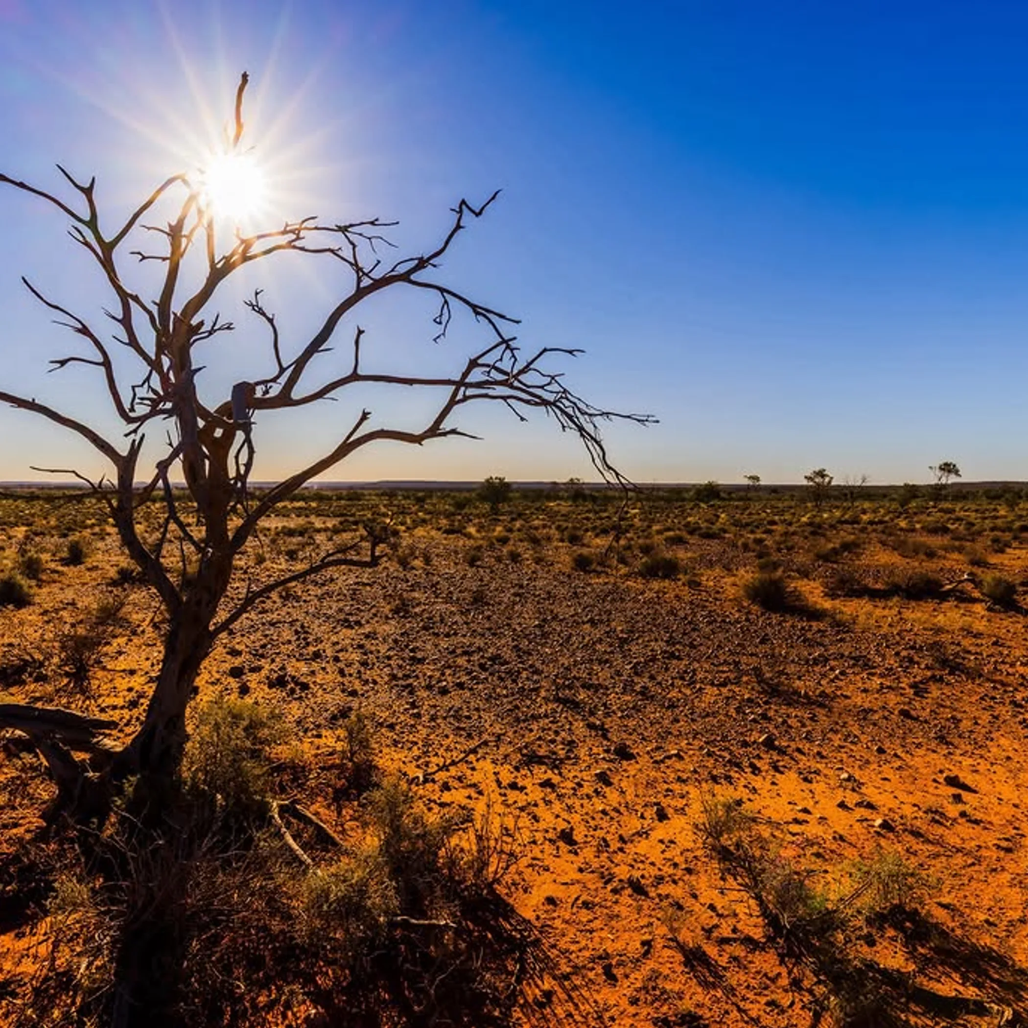 australian national park landscape