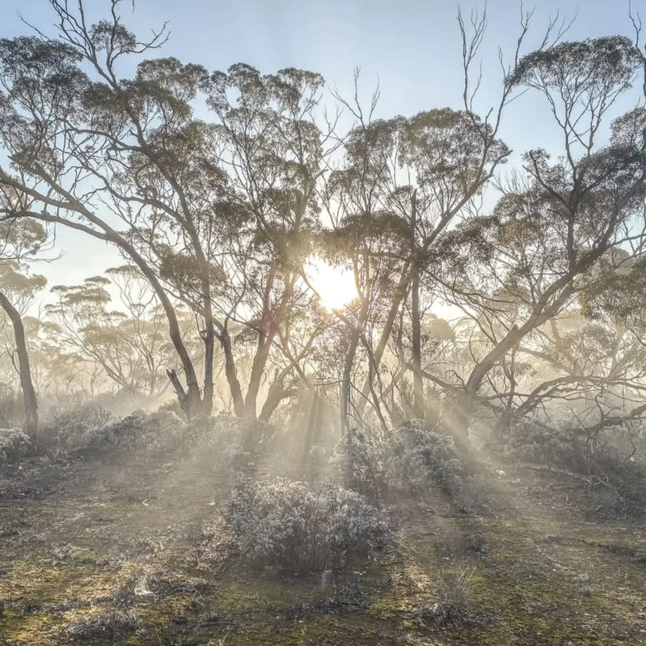 australian national park landscape