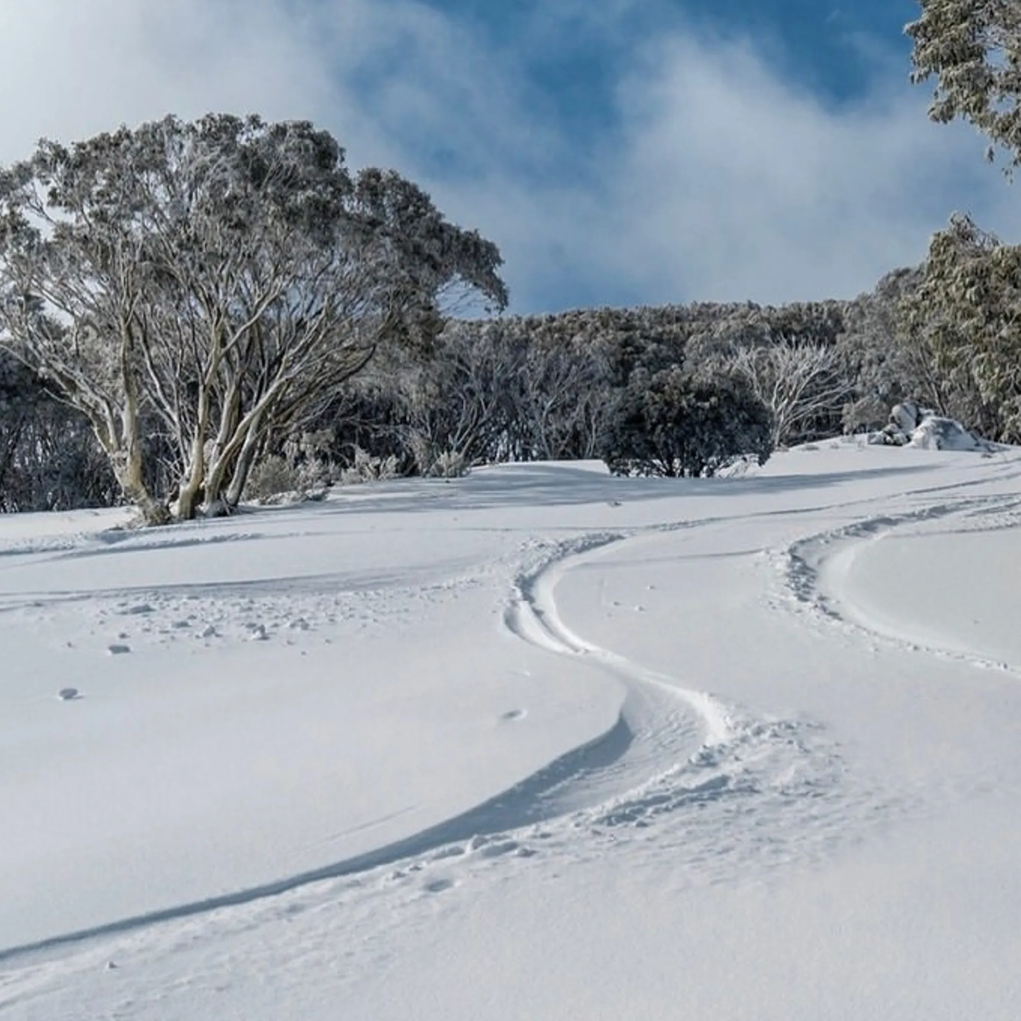 snow-covered mountain terrain