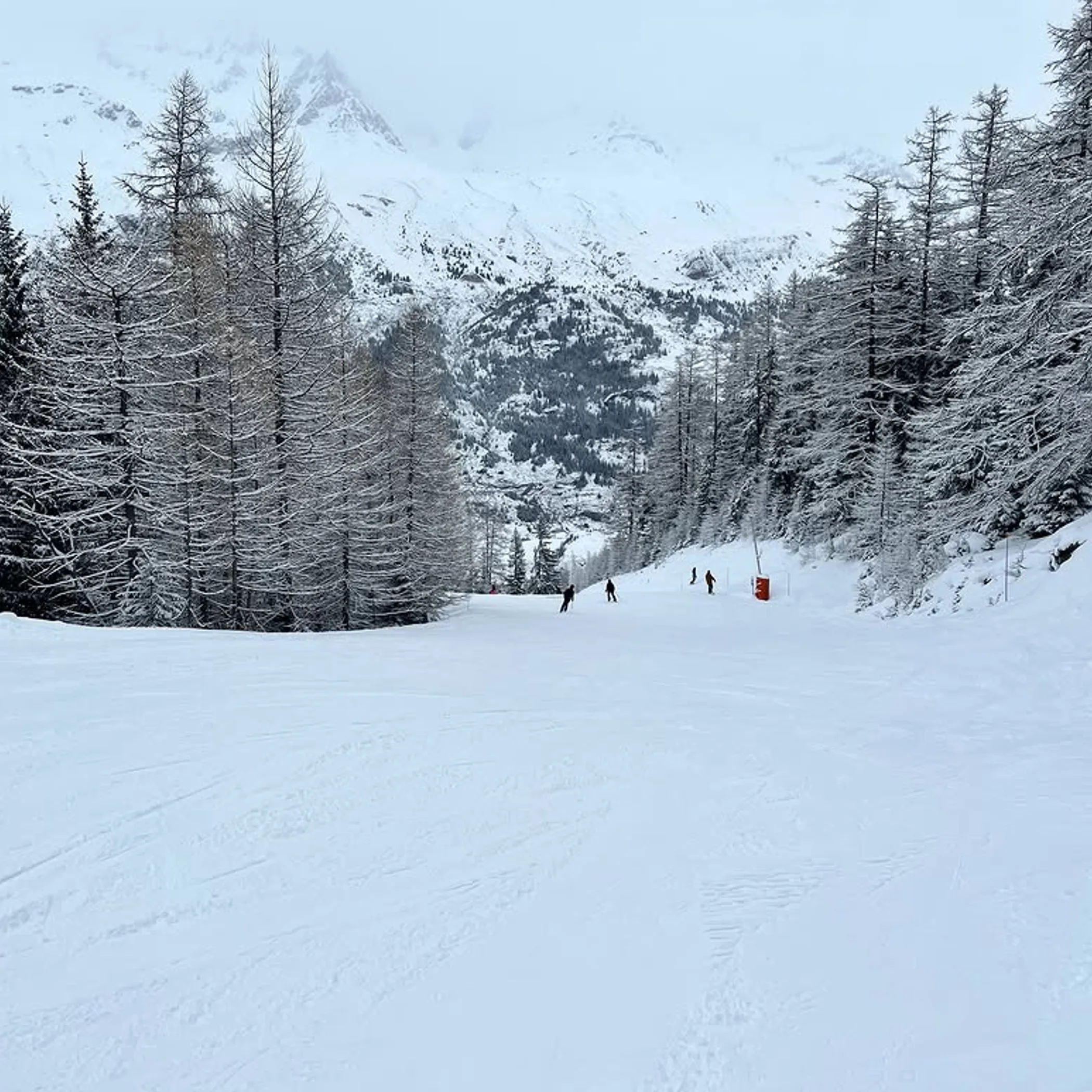 winter skiing scene