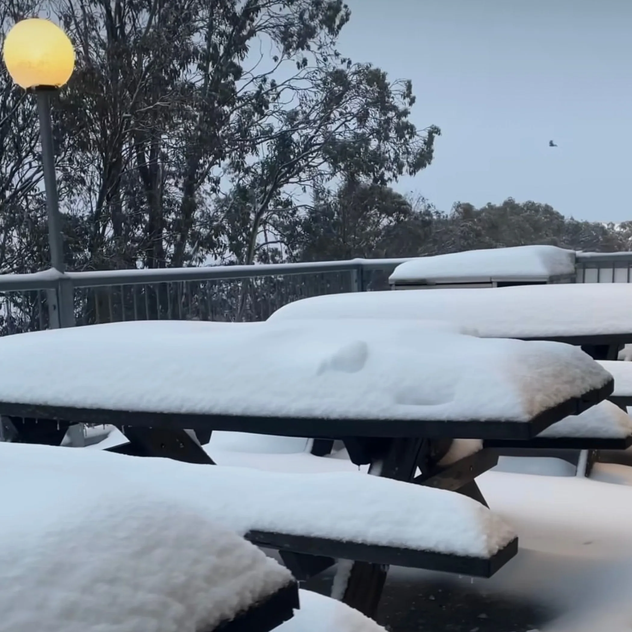 fresh snow at falls creek